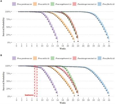 Mortality thresholds of juvenile trees to drought and heatwaves: implications for forest regeneration across a landscape gradient